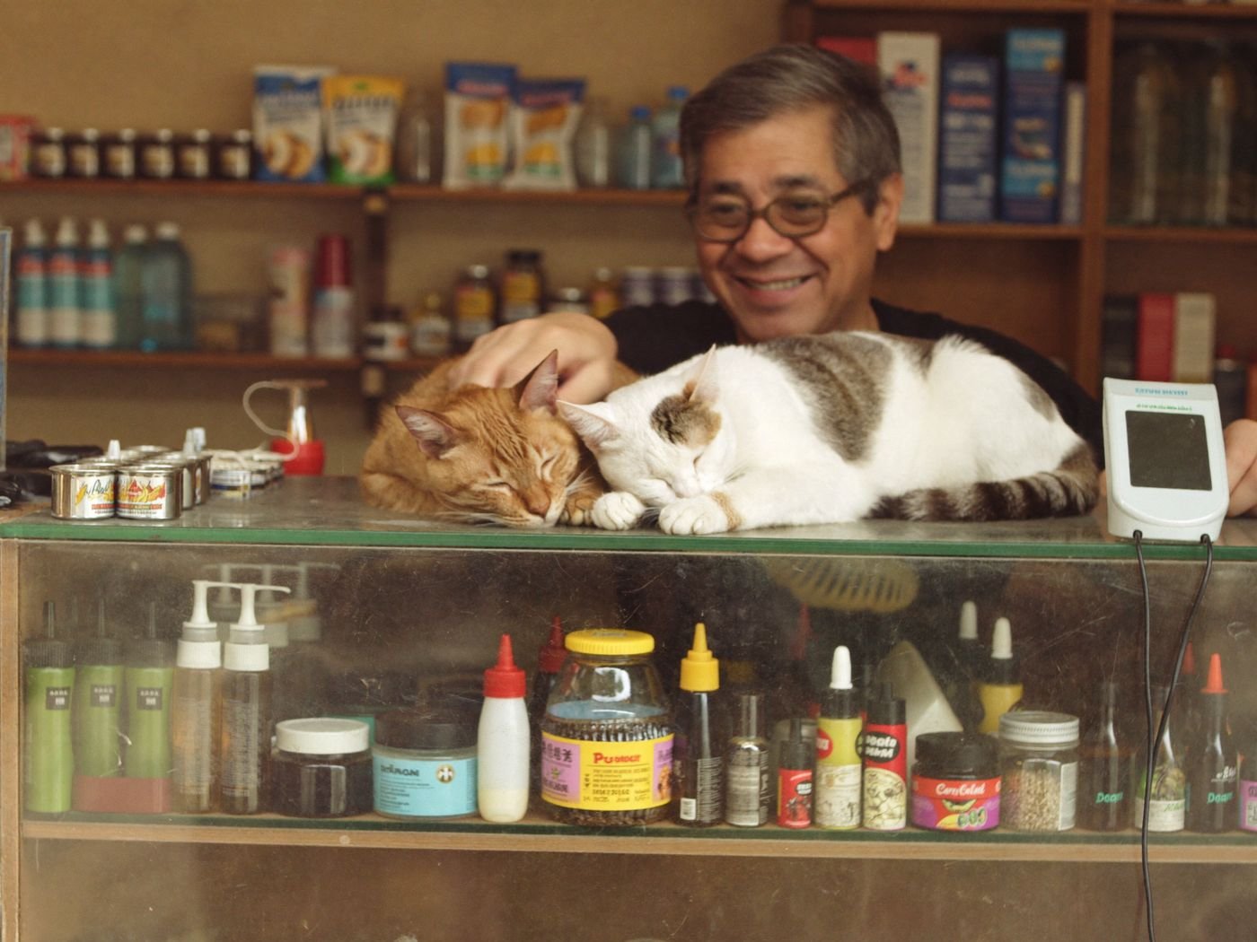 Dois gatos dormindo no balcão da loja com o dono sorrindo ao fundo